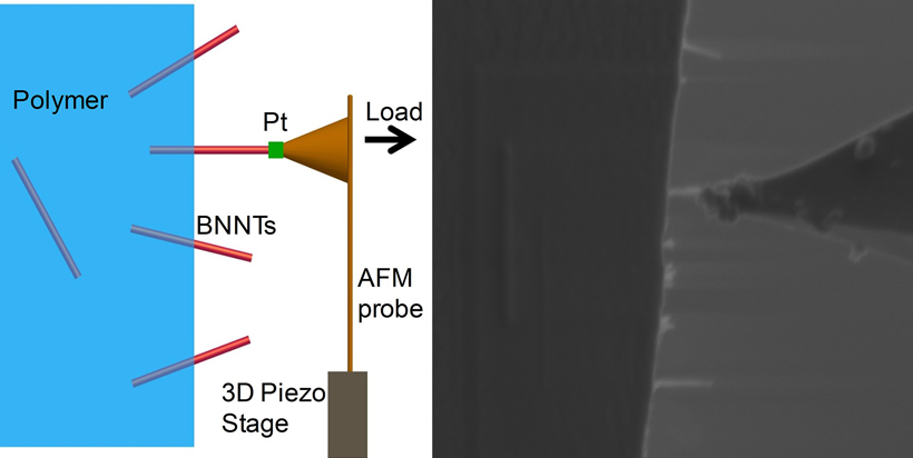 Researchers tested the force required to pluck a boron nitride nanotube (BNNT) from a polymer by welding a cantilever to the nanotube and pulling.